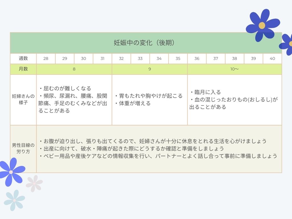 妊娠中の変化（後期）