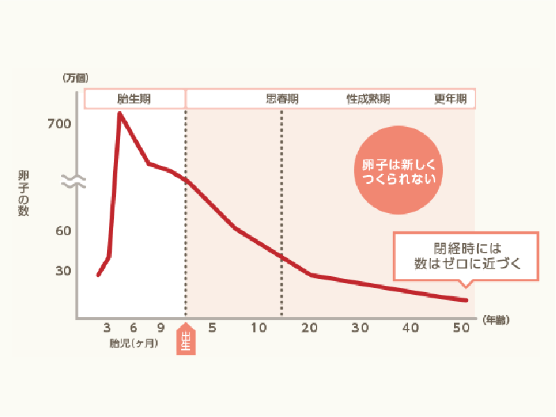 01.卵子の数は減っていく①