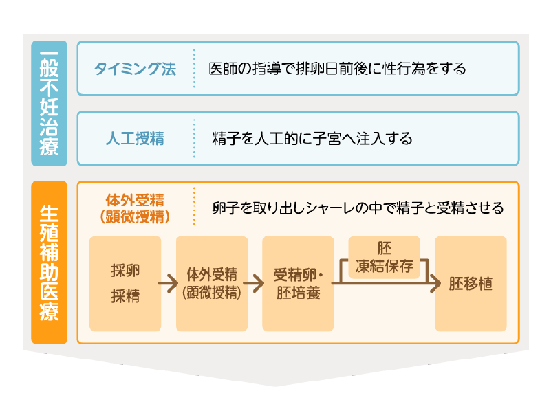 05.主な不妊治療