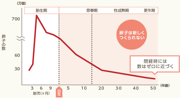 卵子の数の折れ線グラフ