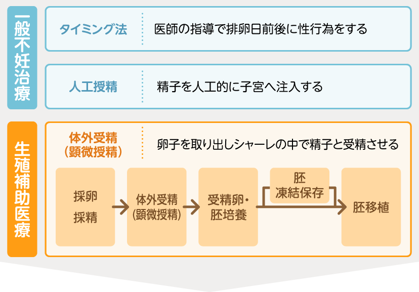 不妊治療の説明