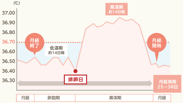 折れ線グラフ