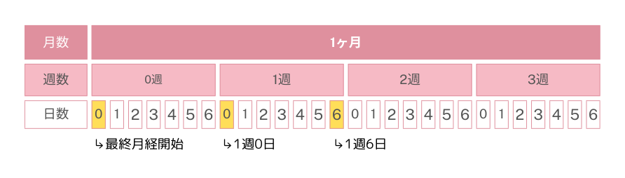 妊娠週数と妊娠月数の数え方